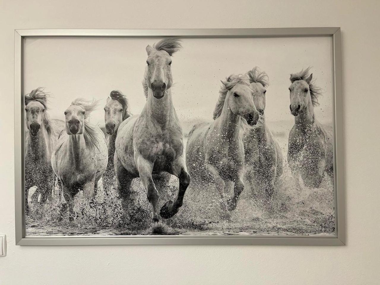 Hotel Ostoya Roztocze Szczebrzeszyn Exteriér fotografie